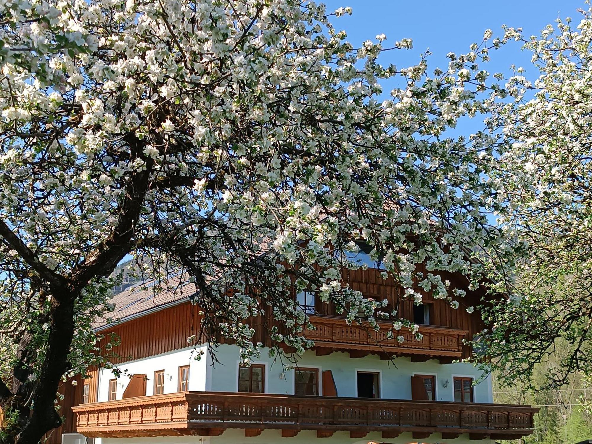 Appartement Hintererhof à Hintersee Extérieur photo